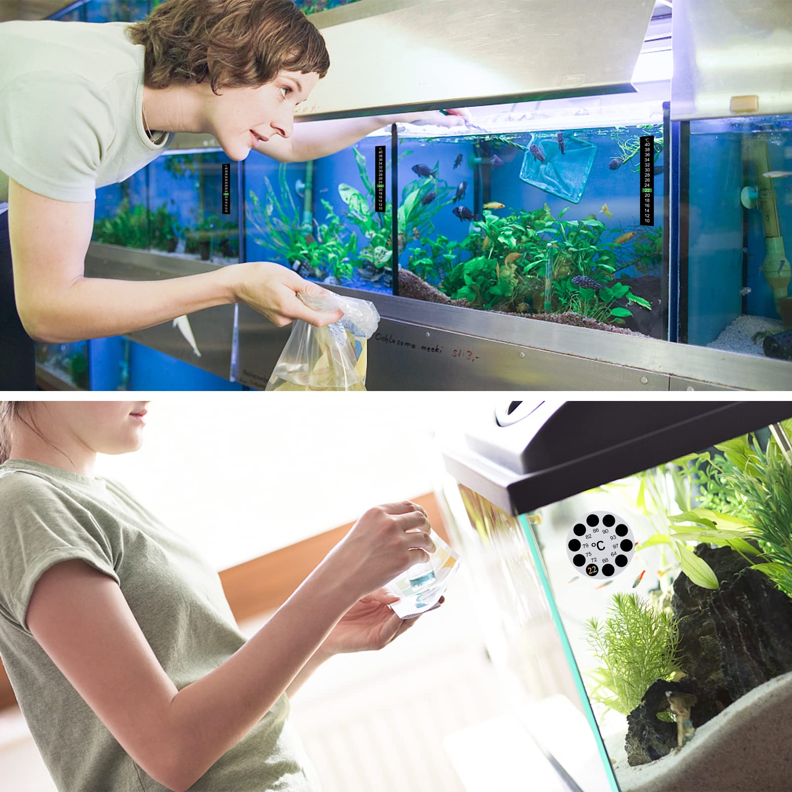 12 Stück Aquarium Thermometer Aufkleber - Präzise Temperaturanzeige 10-40°C