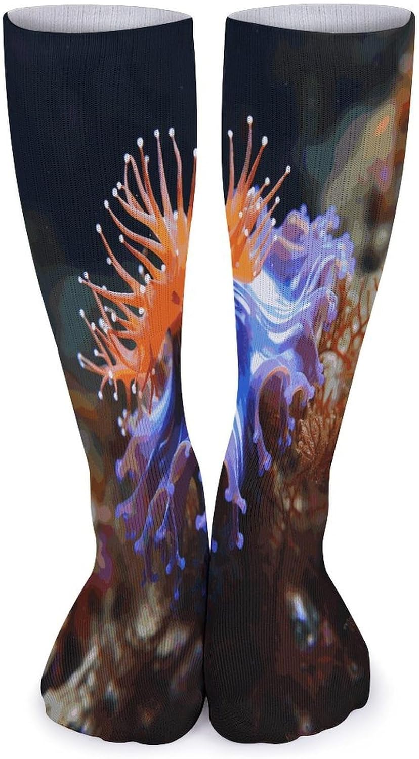 Nudibranch Knee High Socks Cozy Knee High Socks Soft Mid-Length Sock for All Seasons Daily Wear Adult