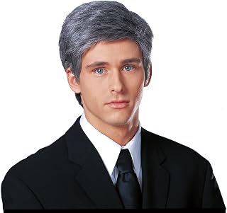 Costume Culture Men's Commander In Chief Wig