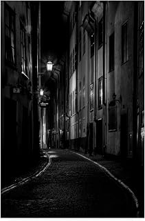 Trademark Fine Art Sweden Alley by Maciej Duczynski, 22x32-Inch