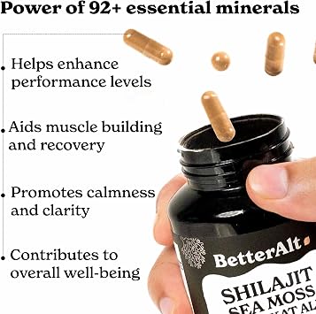 8800mg Shilajit, Maca Root, Ginkgo Biloba, Sea Moss, Ashwagandha, Panax Ginseng, Safed Musli & Zinc| Boost Stamina & Energy, 120 Capsules| 95 + minerals| All in One Herbal Supplement for Men & Women