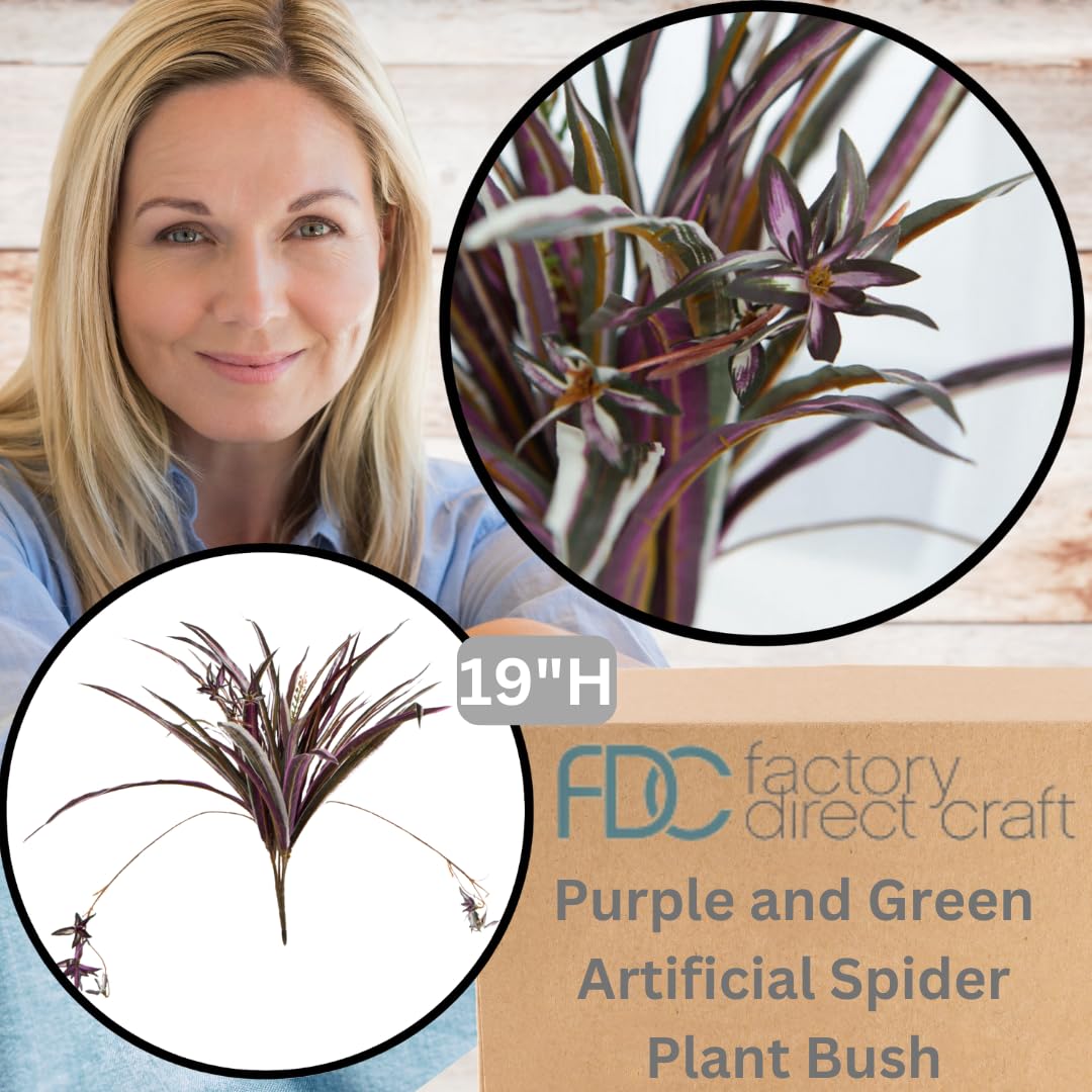 Amazon.com: Factory Direct Craft Green and Purple Artificial Spider Plant  Bush - Fake Houseplant for Long Lasting Everyday Home Decor (19 Inches) :  Home & Kitchen