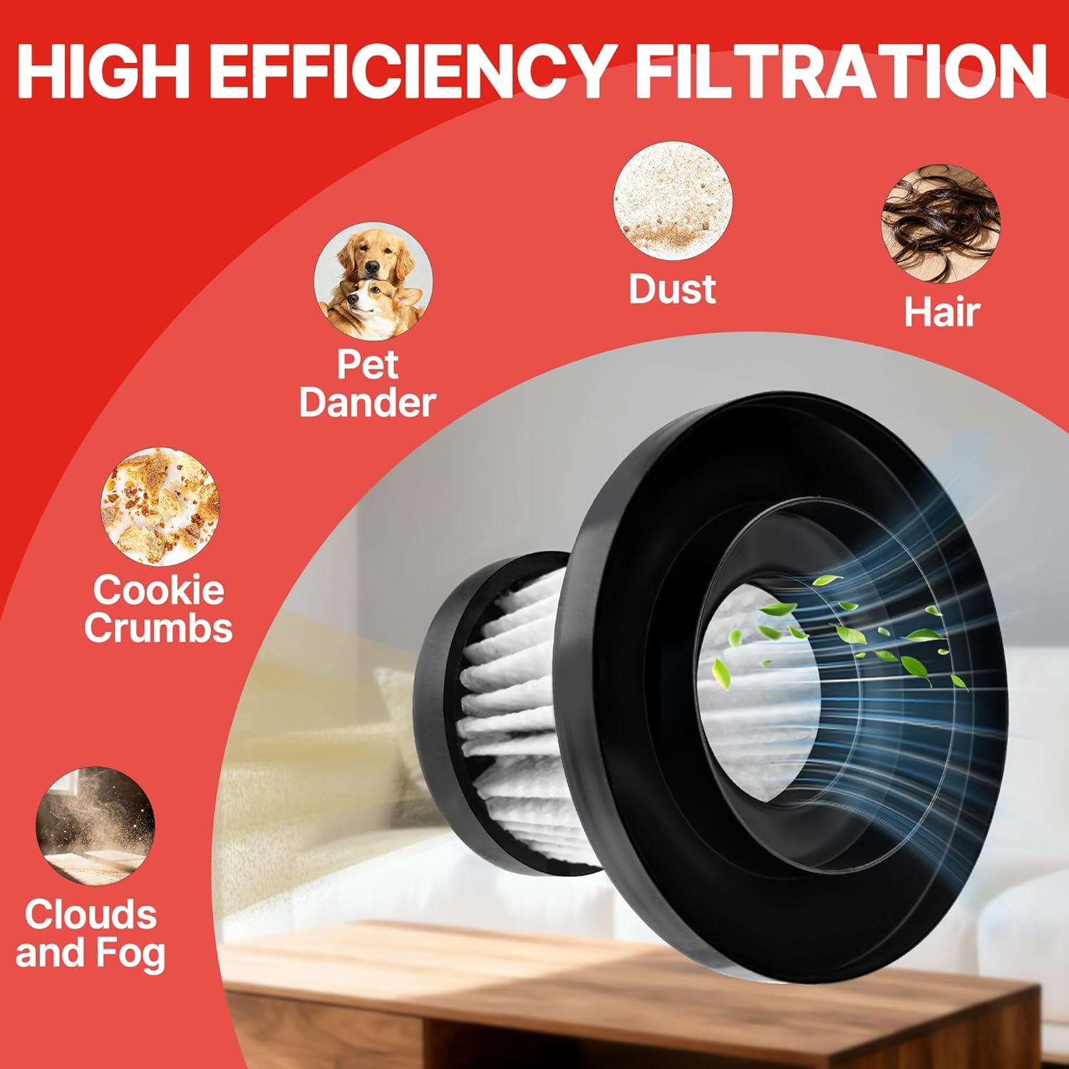 Graphic showing the HEPA filter capturing various particles like pet dander, dust, hair, cookie crumbs, and clouds/fog.