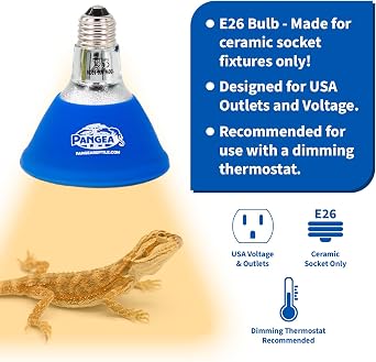 Pangea 50W Deep Heat Projector 2-Pack Infrared Heater for Reptiles | Designed for USA Outlets and Voltage, Bulb-Shaped Infrared Reptile Heater, Low to No Visible Light, Sturdy Packaging