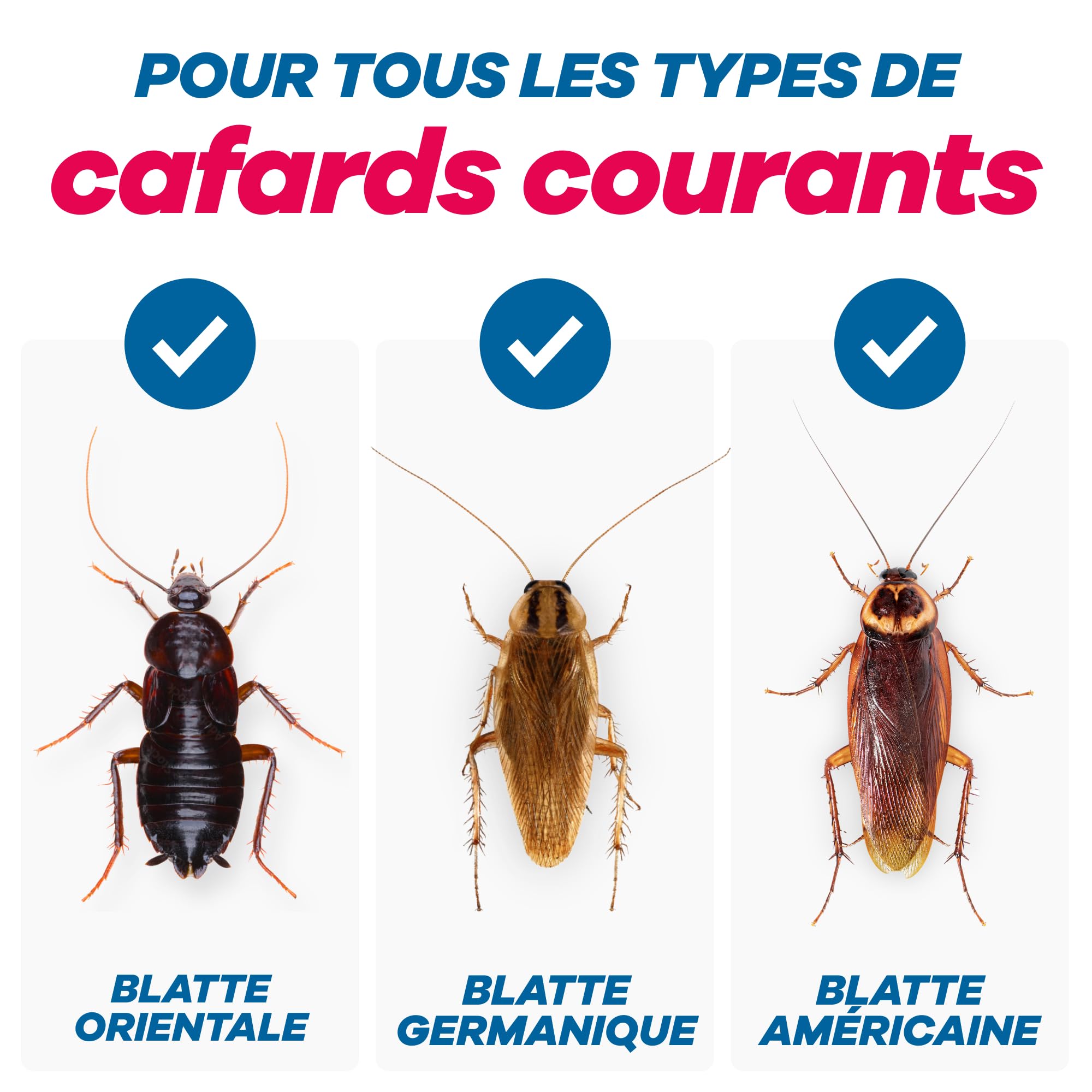 Gerobug Piège à cafards Professionnel 12 pièces - Piège à Colle pour surveiller les cafards