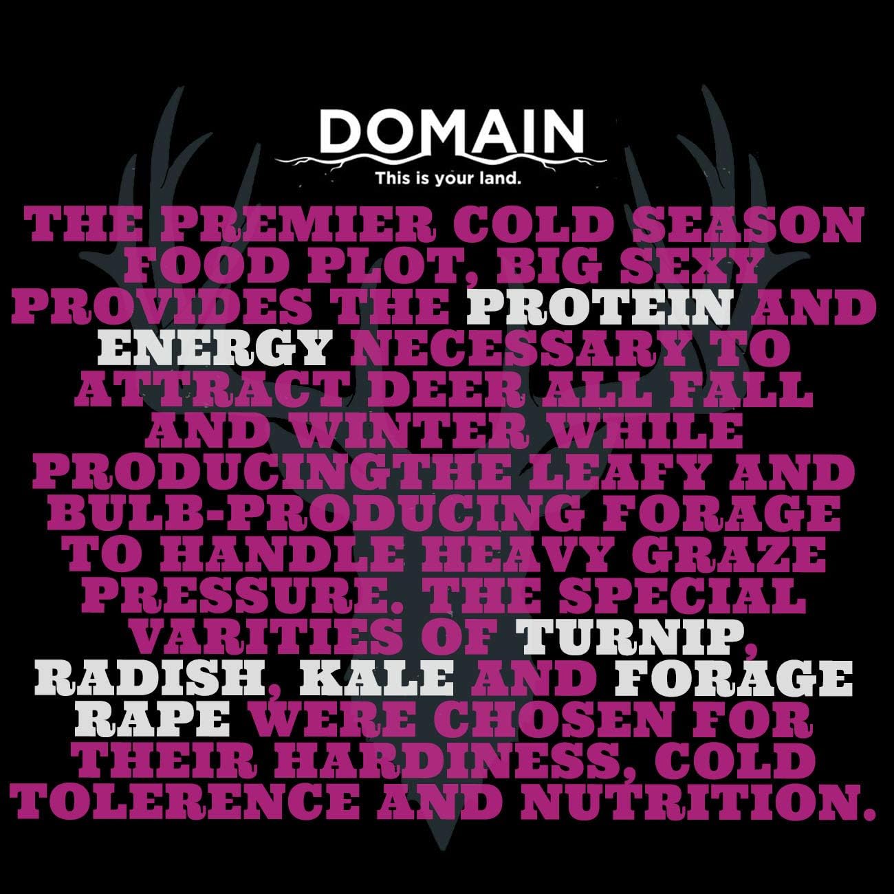 Domain Outdoor Big Sexy Deer Food Plot Seed, 1/2 Acre, High Level of Nutrients & Protein to Support Antler Growth and Health, Cold Tolerant, Fast Germination, Easy to Plant