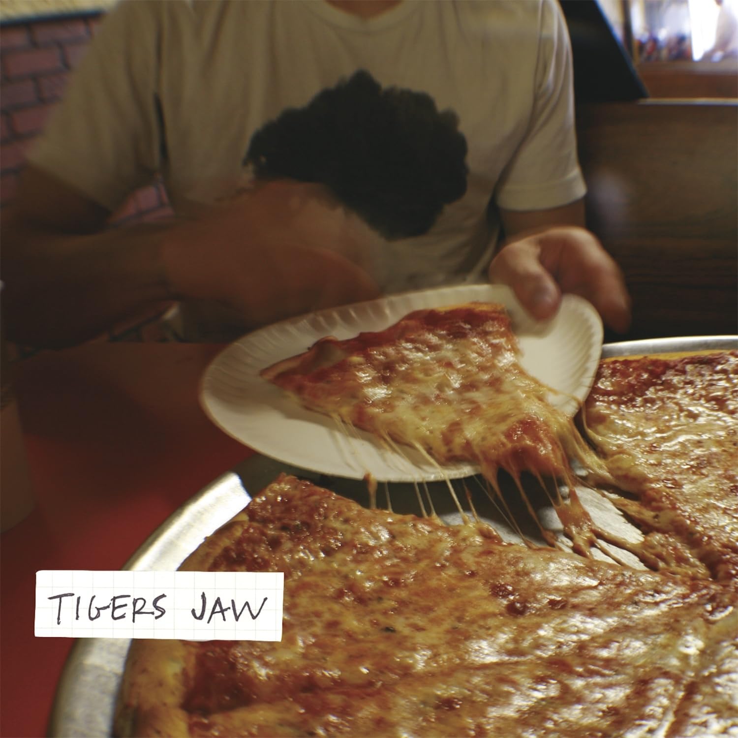 Tigers Jaw [VINYL]