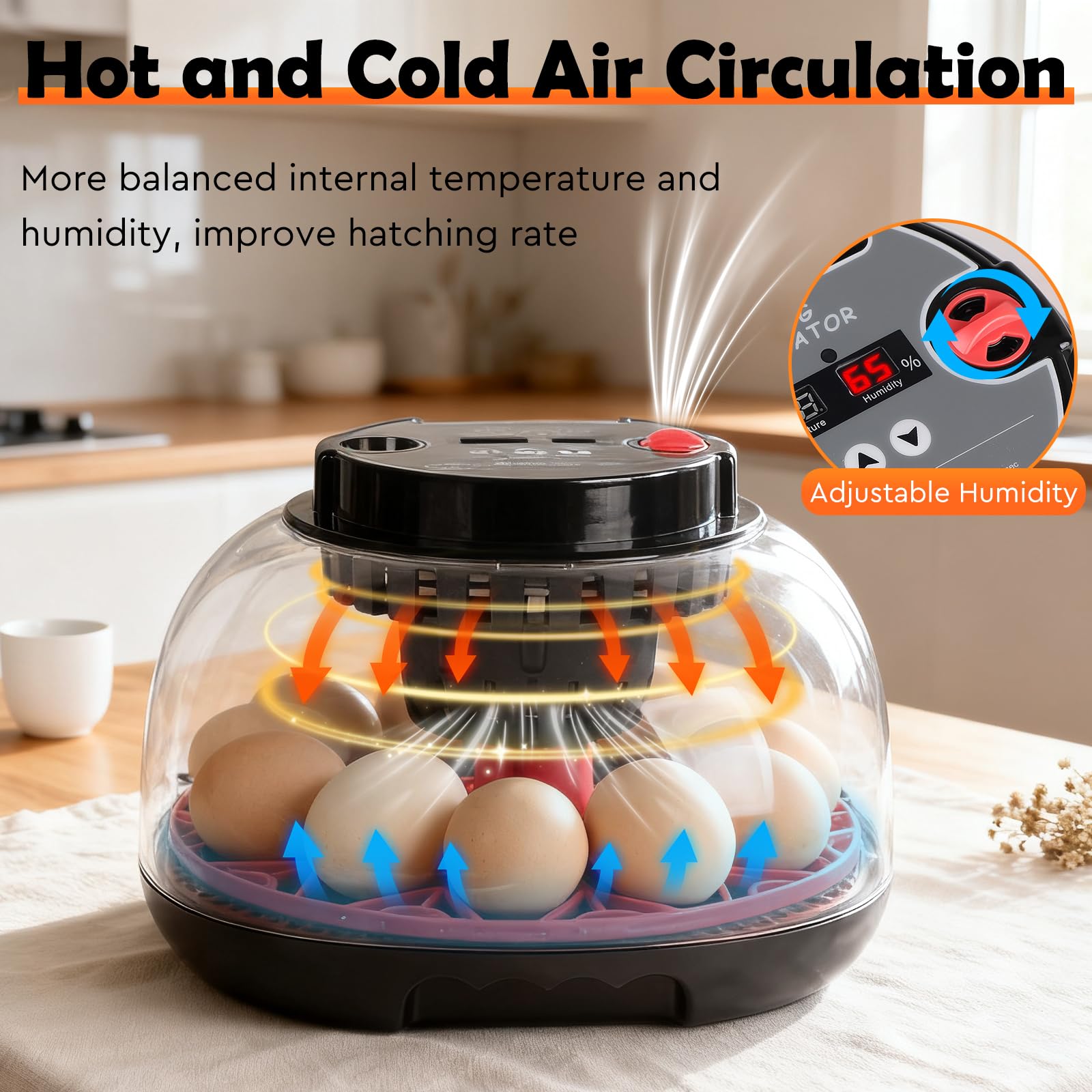 EFUTURETIME Incubadora Automática para Huevos de Gallina, Incubadora con Temperatura y Humedad Ajustables para 12 Huevos, con Volteo Automático, Luz de Inspección
