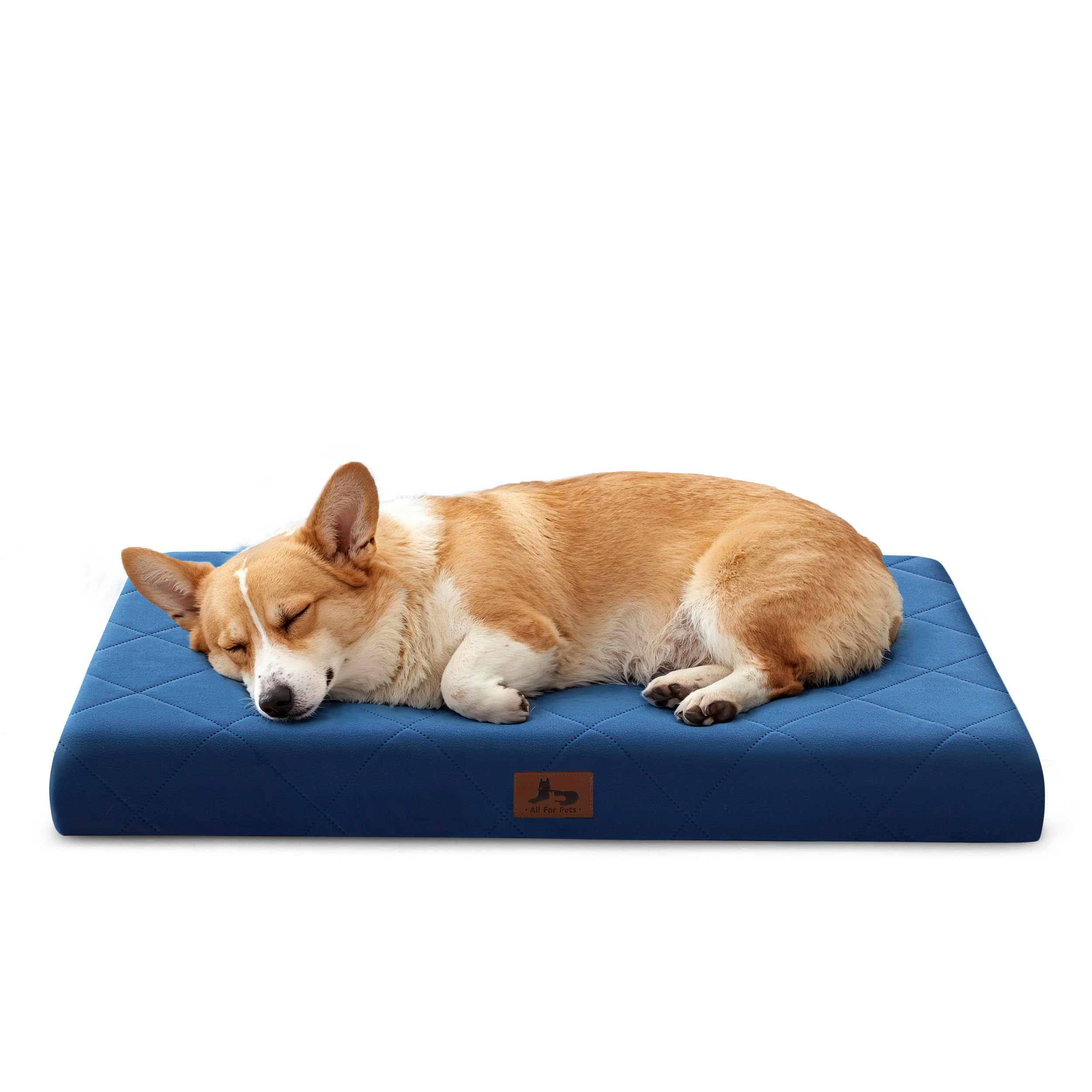 Orthopedic Dog Beds for Medium Dogs, Washable Pet Bed Mat with Removable Cover, Waterproof Egg Crate Foam Puppy Bed Anti Slip, 30" x 20"