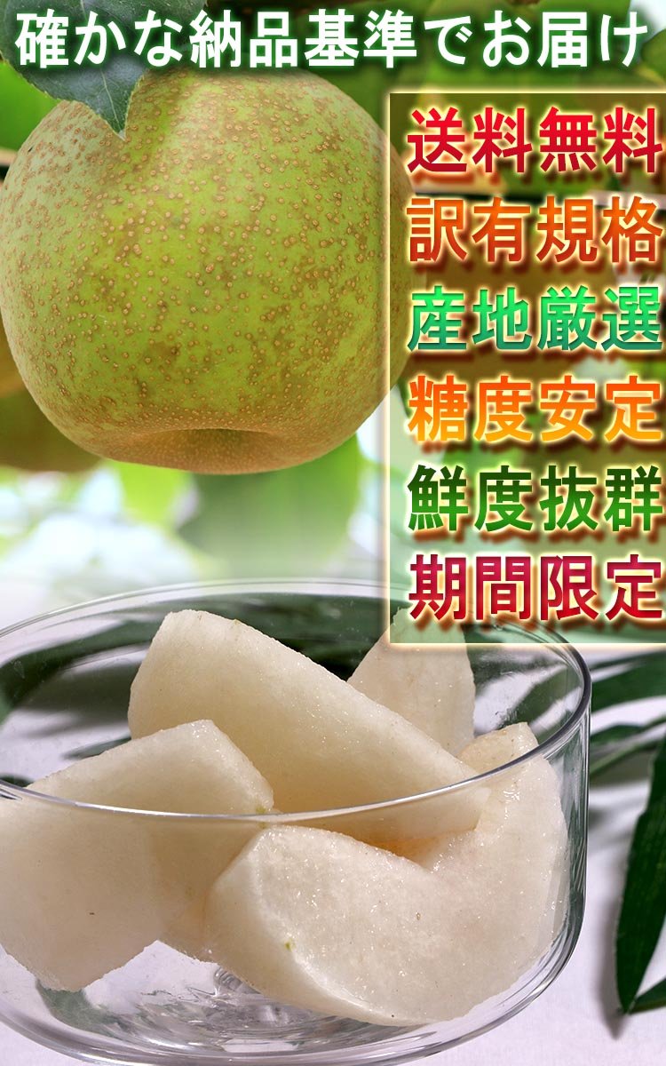 Amazon.co.jp: 千葉梨 豊水 (ほうすい) 約10kg 7～14玉 大玉限定 訳