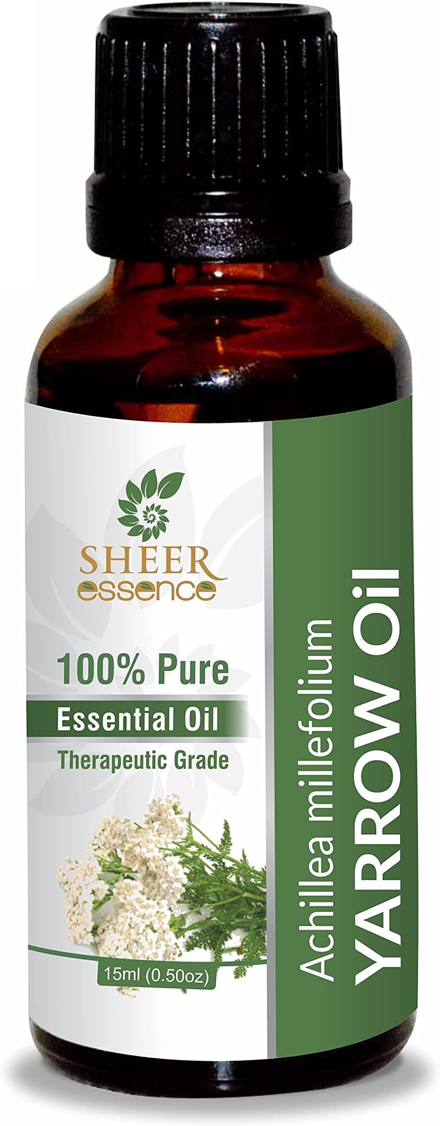 Yarrow Oil -(Achillea Millefolium)- Essential Oil 100% Pure Natural Undiluted Uncut Therapeutic Grade Oil 0.33 FL.OZ