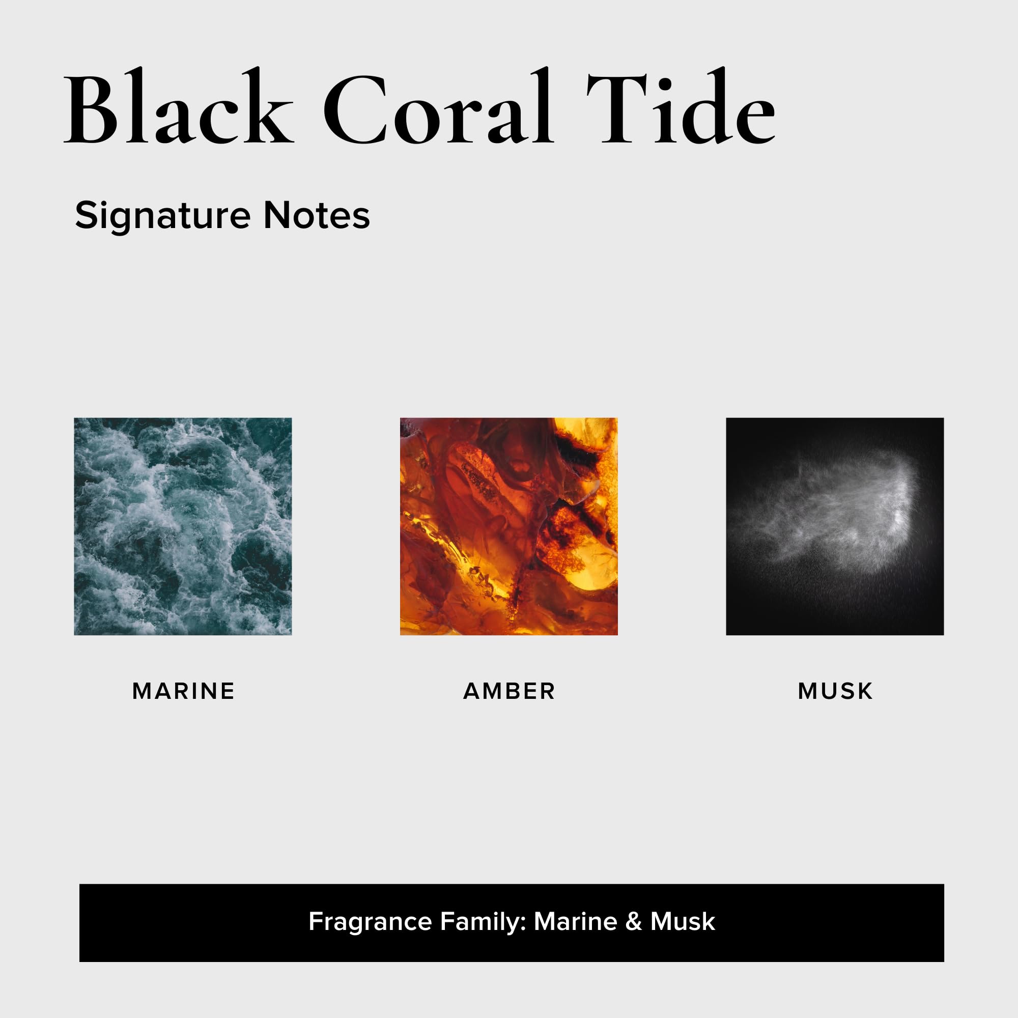 Geotanical - Ambientadores para coche, paquete variado de 6 (3 Black Coral Tide, 3 Tabaco Teca)
