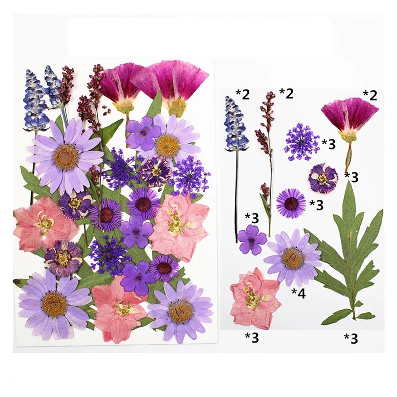 HBALDTEDC Getrocknete gepresste Blumen, 1 Packung Trockenblumen, Trockenpflanzen for Harzformen, Füllungen, Epoxidharz, Basteln, DIY, Nagelkunst, Dekoration, gepresste Blumen