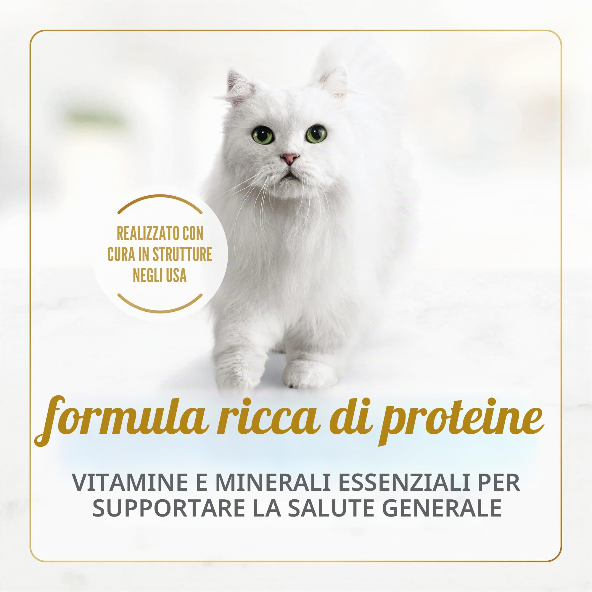 Purina Fancy Feast Cibo per gatti con salsa