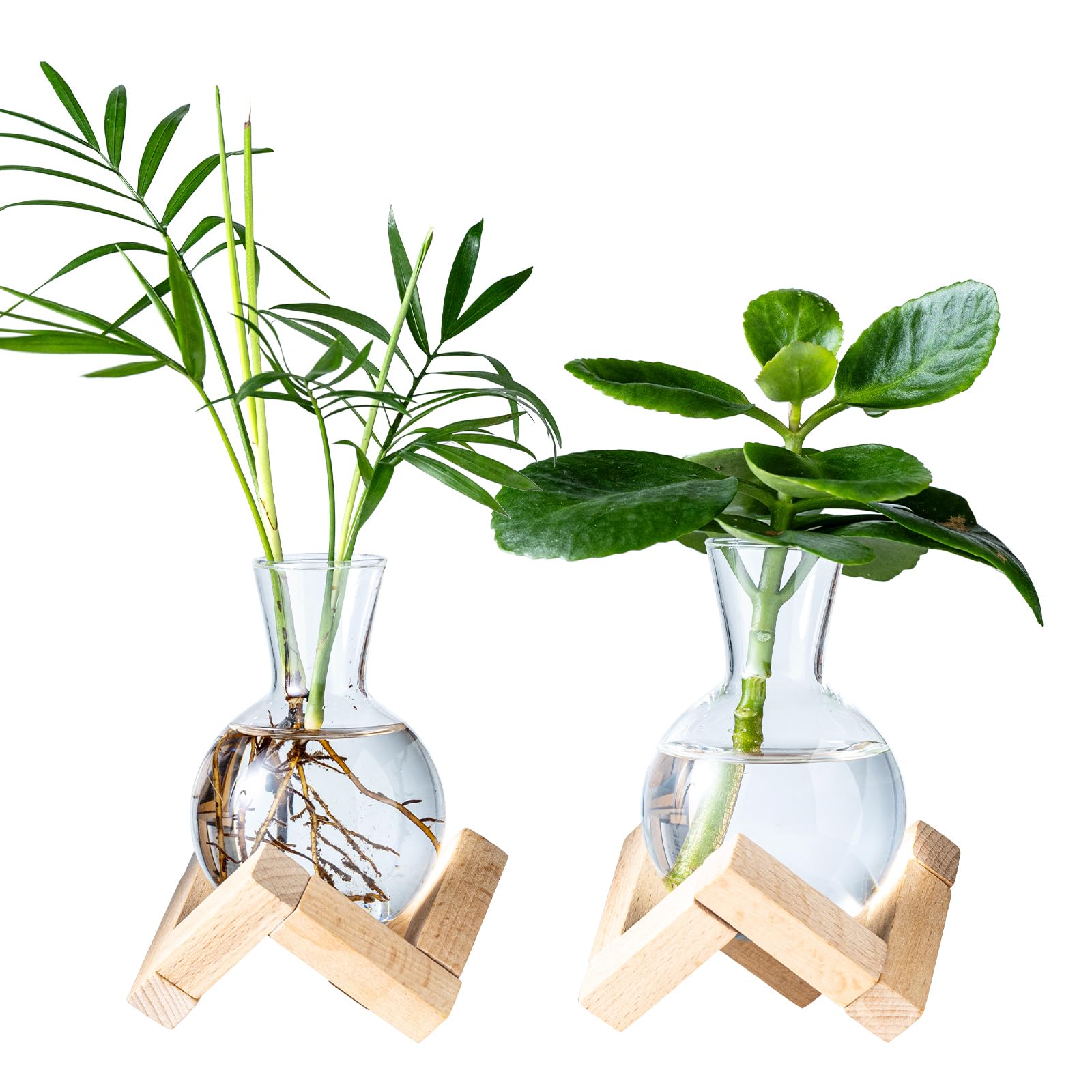 Propagation Stations, Propagation vases with Wooden Stand, Small Tabletop Glass Bulb Vases for Hydroponics Plant Propagation Station Home Office Decoration, Gif