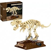 DRZYJ Tyrannosaurus Rex Dinosaur Fossil Building Set, 289Pcs Movable T-Rex Skeleton Model Kit with Museum Display Stand, Educational Dinosaur Toy for Kids 8 for Dinosaur Lovers & Collectors