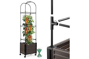 Raised Garden Bed Planter Box with Trellis