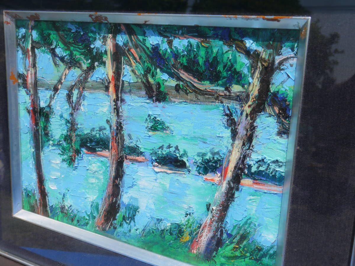 Amazon.co.jp: 2Ju29 O横山央児 油彩画「松島 双観山にて」F4号 額装