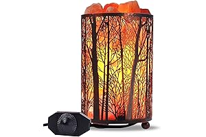 Himalayan Salt Rock Lamp, 4.1 x 6.5 x 4.4-5lbs Natural Night Light...