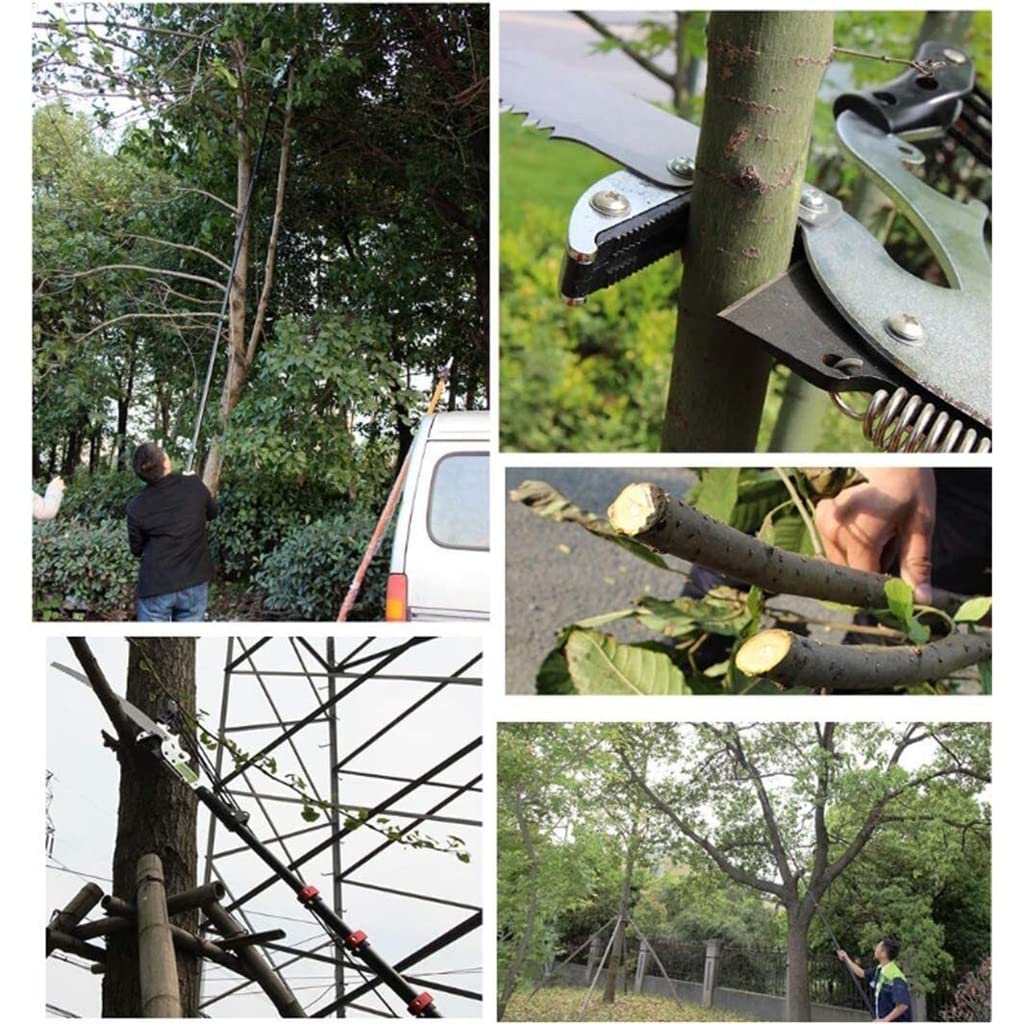 Potatori Professionali per Alberi con Sega telescopica, estensibili, Bypass, per Giardinaggio e paesaggistica, con Lama in Acciaio. (5.4m)