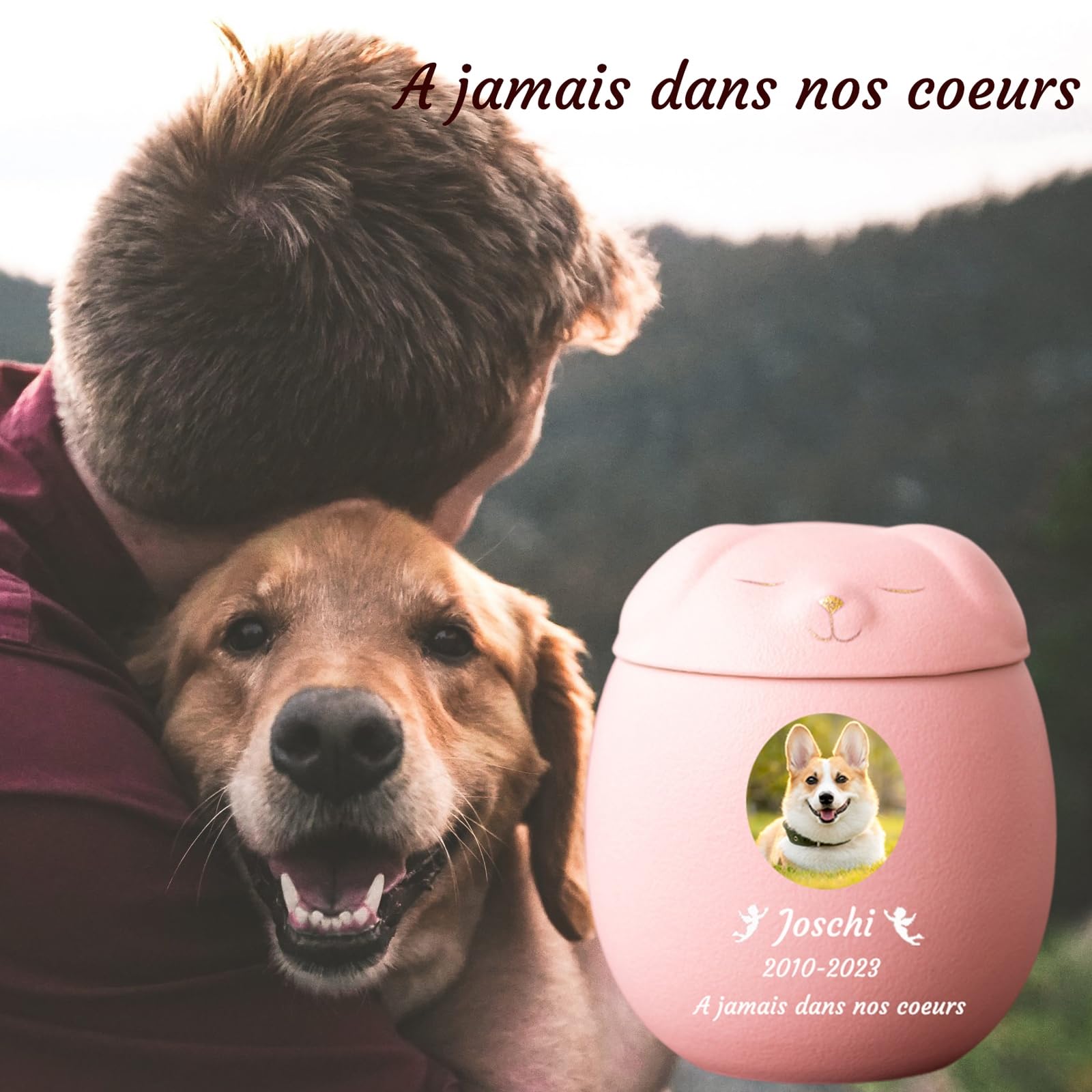 Urne per Cani per Ceneri Personalizzate - Urne per Cani Personalizzate - Urne in Ceramica per la cremazione di Animali Domestici Urne Commemorative per Cani,Rosa,Big