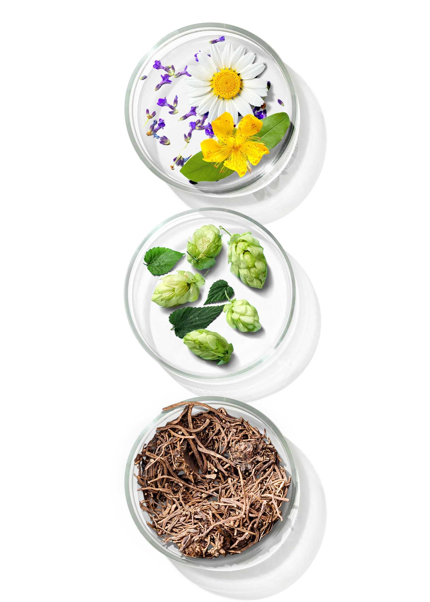 Primal Harvest Sleep - Mezcla natural con apigenina, L-triptófano, manzanilla y valeriana – Mezcla de hierbas como alternativa a la melatonina – Fabricado en Alemania