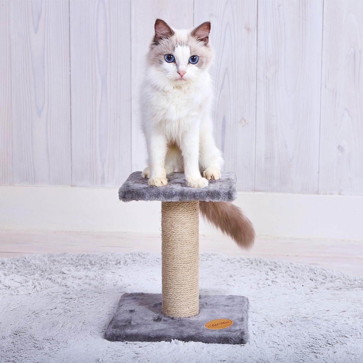 Add.Mate キャットタワー 据え置き型 Amazon.co.jp: アドメイト (ADD. MATE) 猫用タワー ロータイプタワー