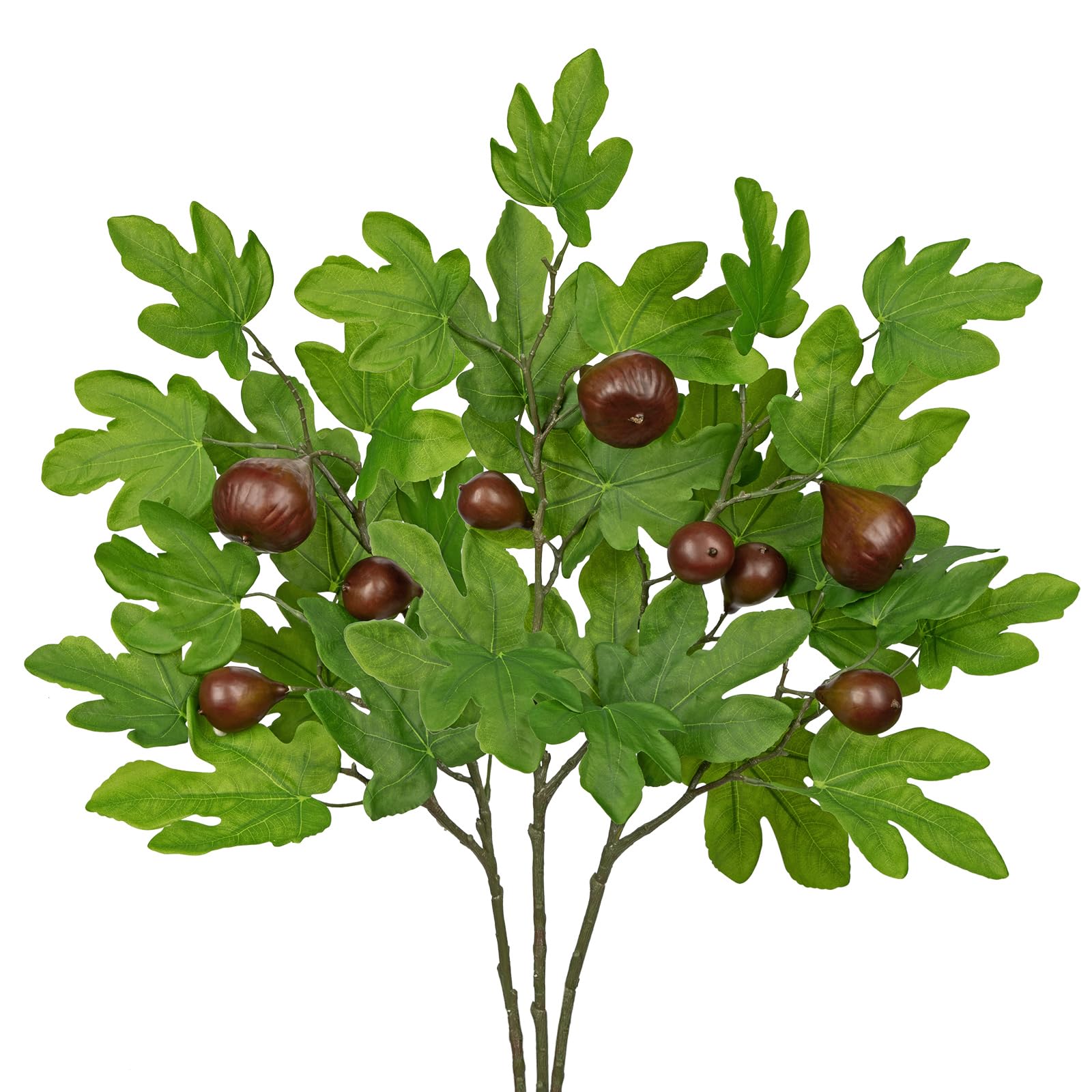 product_img5