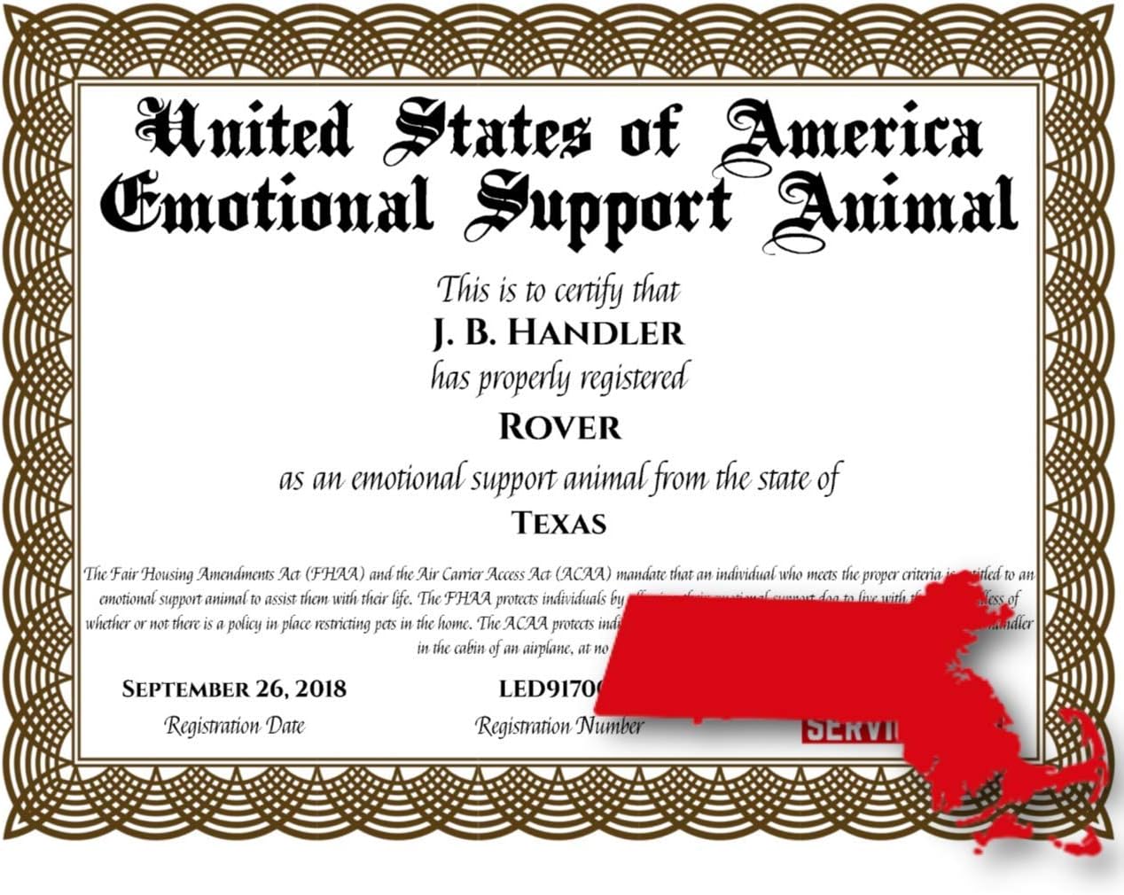 Amazon Com Massachusetts Emotional Support Dog Digital Printed Certificate Pet Supplies