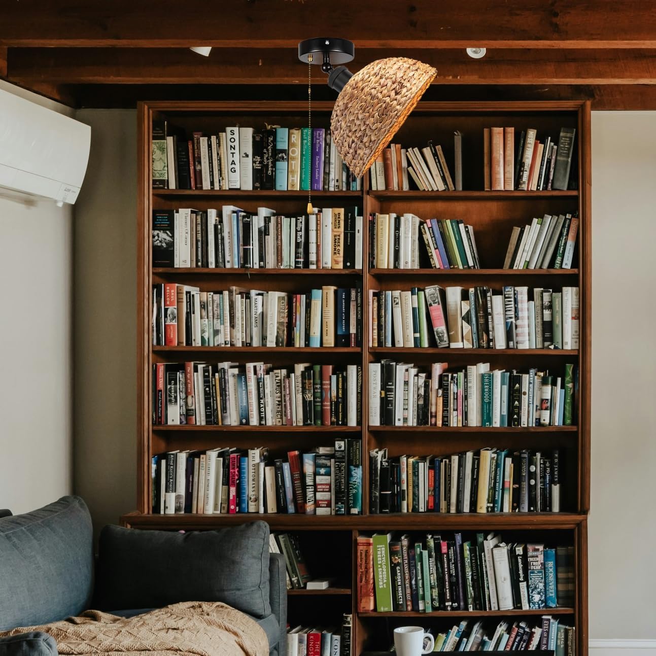 Gimbaled Wall Light, Zipper Switch 12V RV Woven Natural Boho Water Hyacinth Dome Shape, Replaceable 2700K Bulb Included Semi Flush Mount Interior Lighting Decorative for Camper