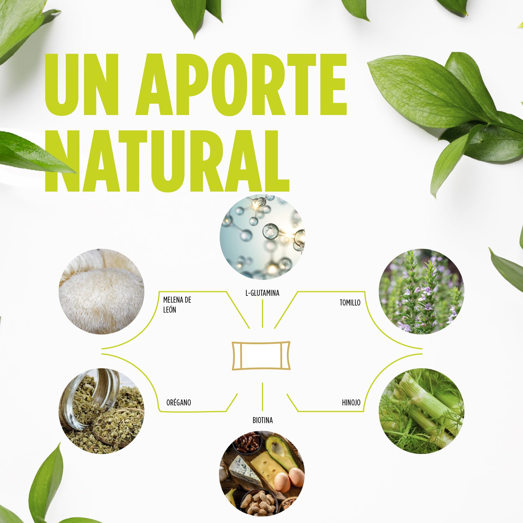 DigestSIBO - Niveles y Distribución Normal de la Flora Intestinal - Con Oregano, Hinojo, Tomillo, Melena de León, L-Glutamina y Biotina | ELADIET
