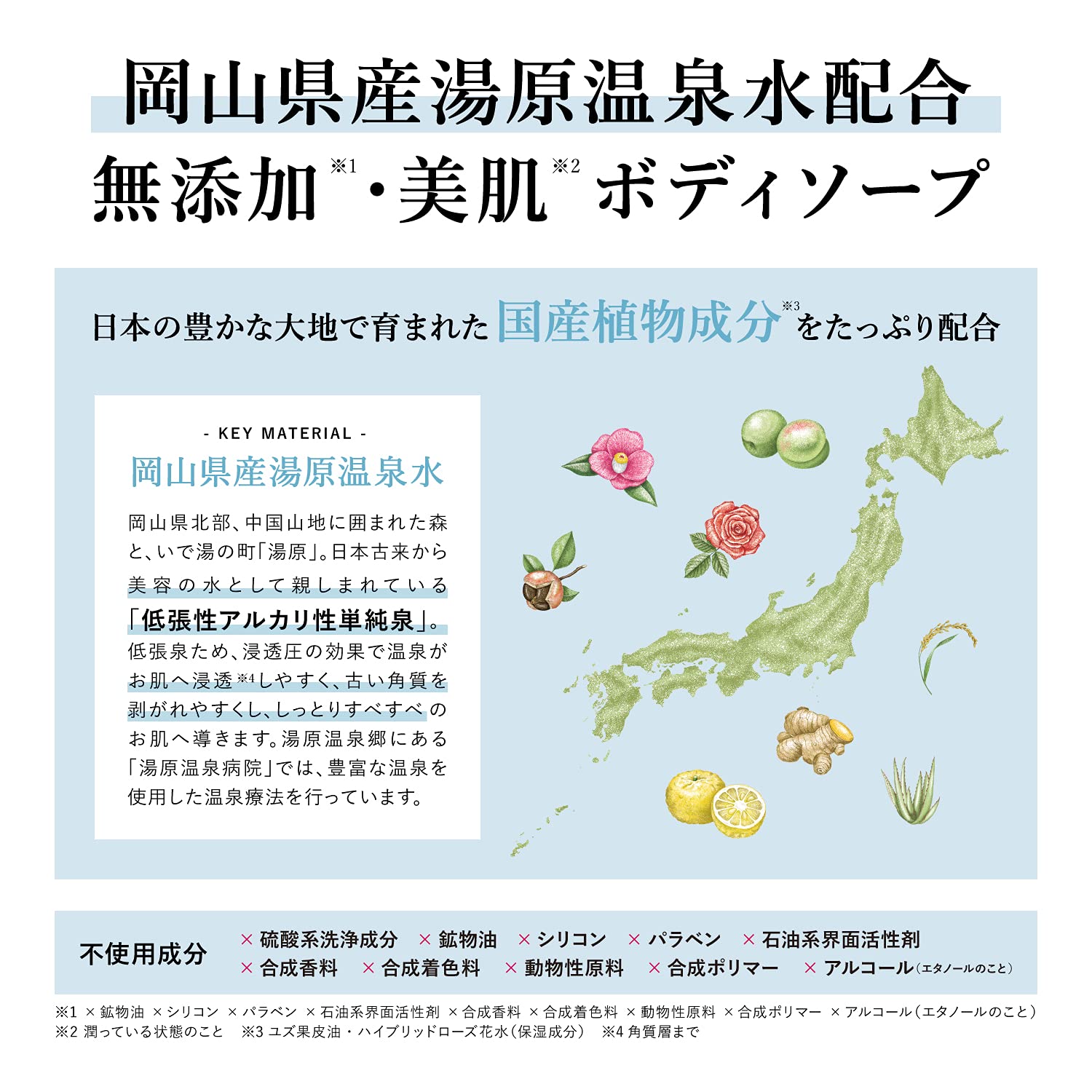 Amazon | 凜恋/rinRen(リンレン)ボディソープボディソープミント