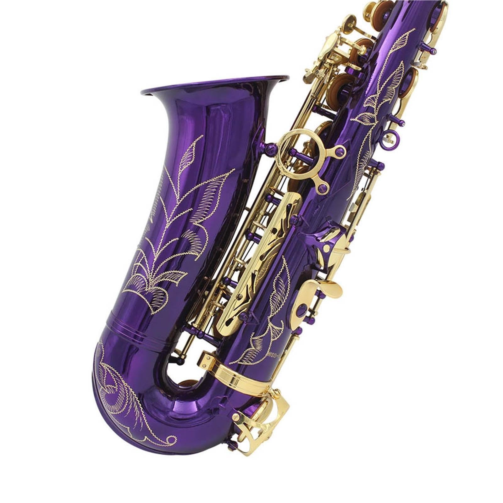 Saxofón Rendimiento Del Examen Calificado De Saxofón Alto En Mi Bemol