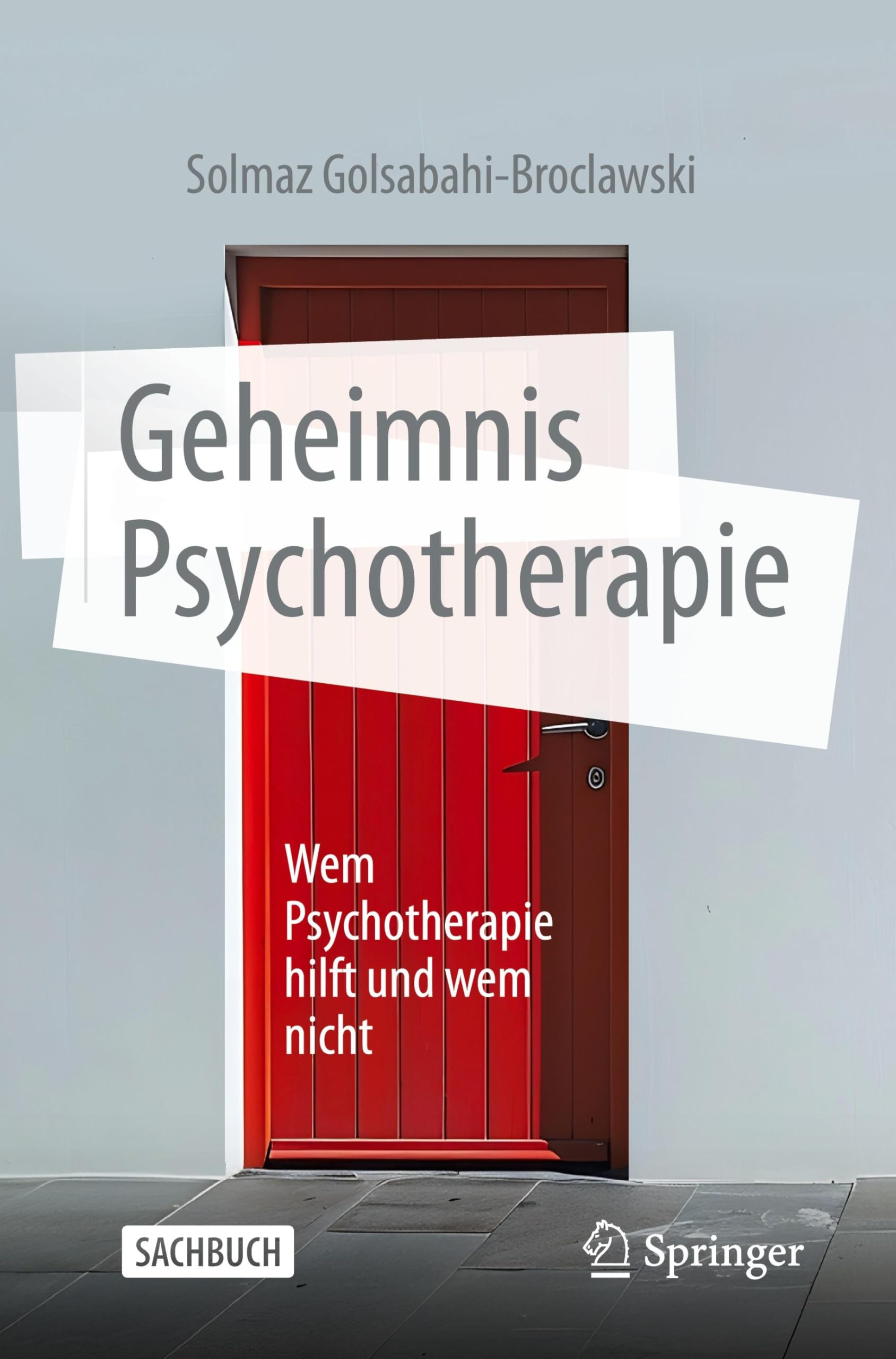 Geheimnis Psychotherapie - Buch