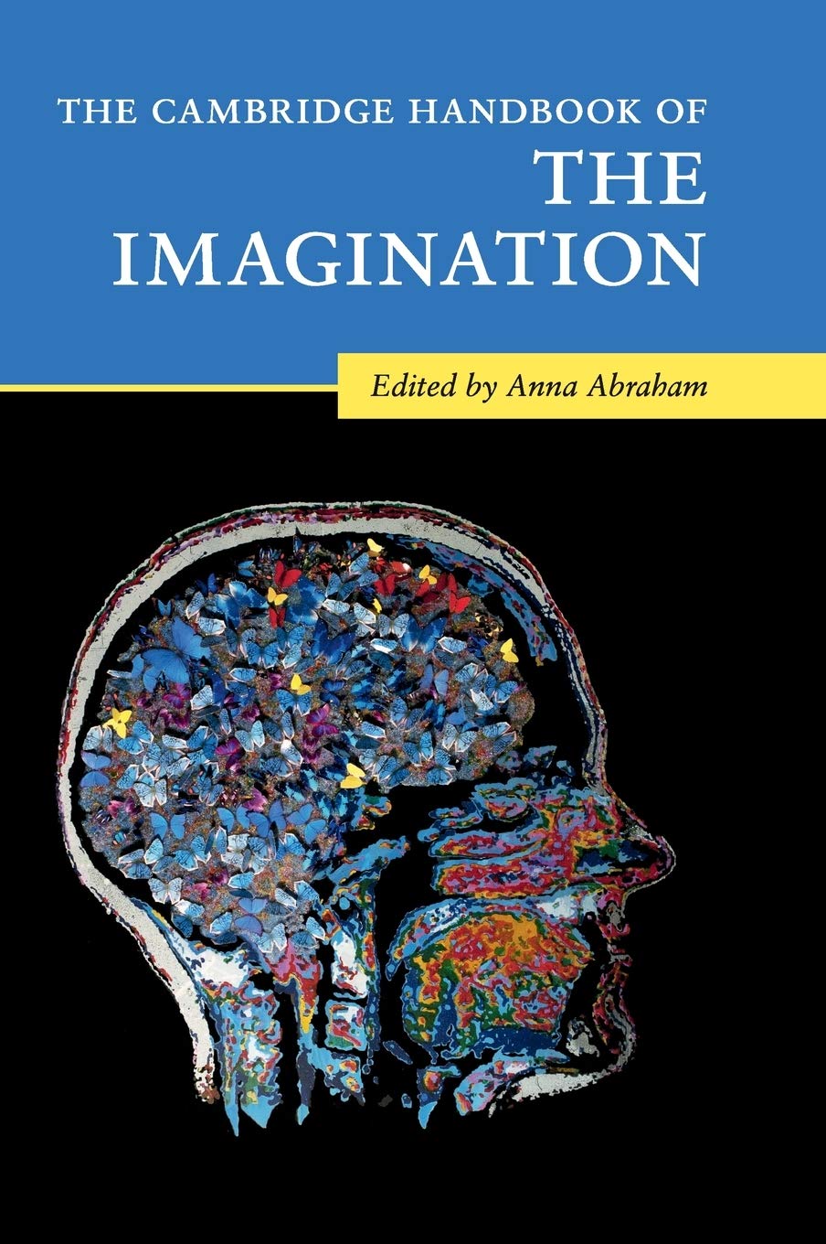 The Cambridge Handbook of the Imagination (Cambridge Handbooks in Psychology)