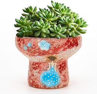 AquaLume 7.5 Inch Succulent planters, Pretty Hand Painted Bonsai pots wi...