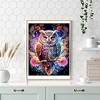 Vista 2 de Kits de pintura de diamantes para adultos Búhos 5D kits de arte de diamantes de perforación completa con puntos de diamante con diamantes gema arte