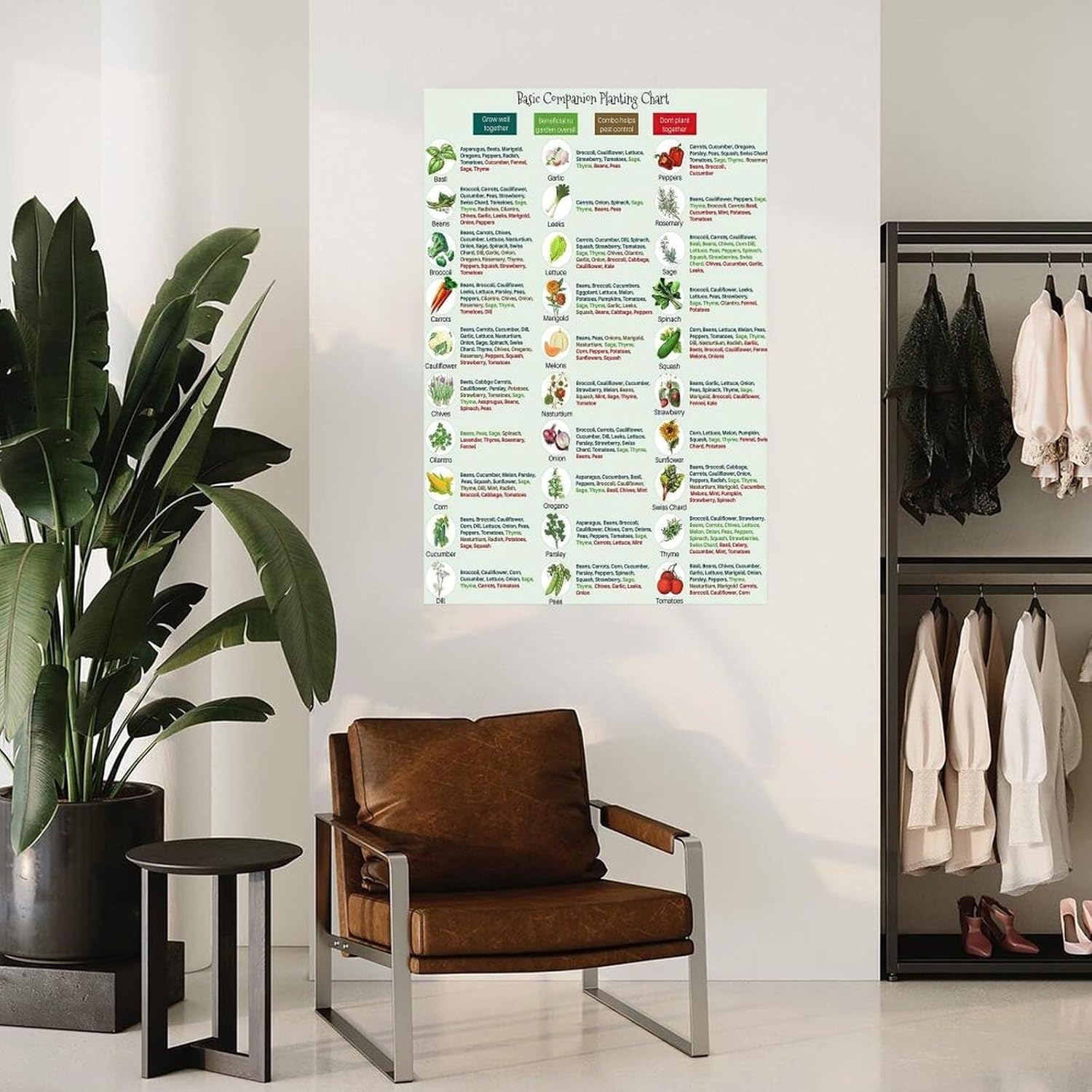Gardener's Companion Planting Chart - What to Plant Together for Healthy Growth - Laminated Vegetable & Herb Guide for Organic Gardening & Kitchen Garden Decor(Unframed,16x24inch(40x60cm))