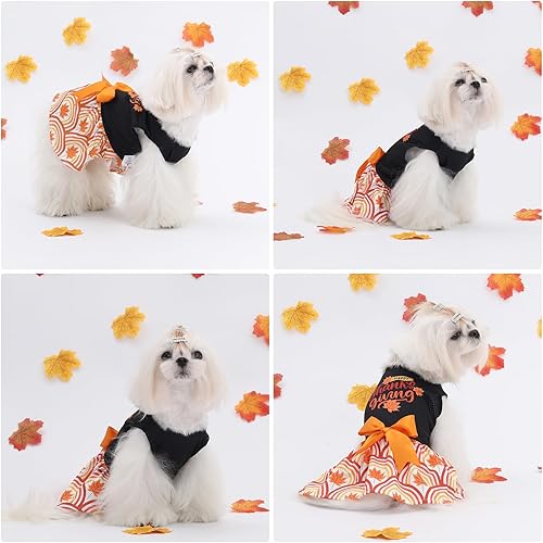 Miniatura 7 de CuteBone Vestido de perro mariposa para niña, falda de cachorro, traje de gato, ropa para mascotas para perros pequeños, disfraz de cumpleaños, BF25M