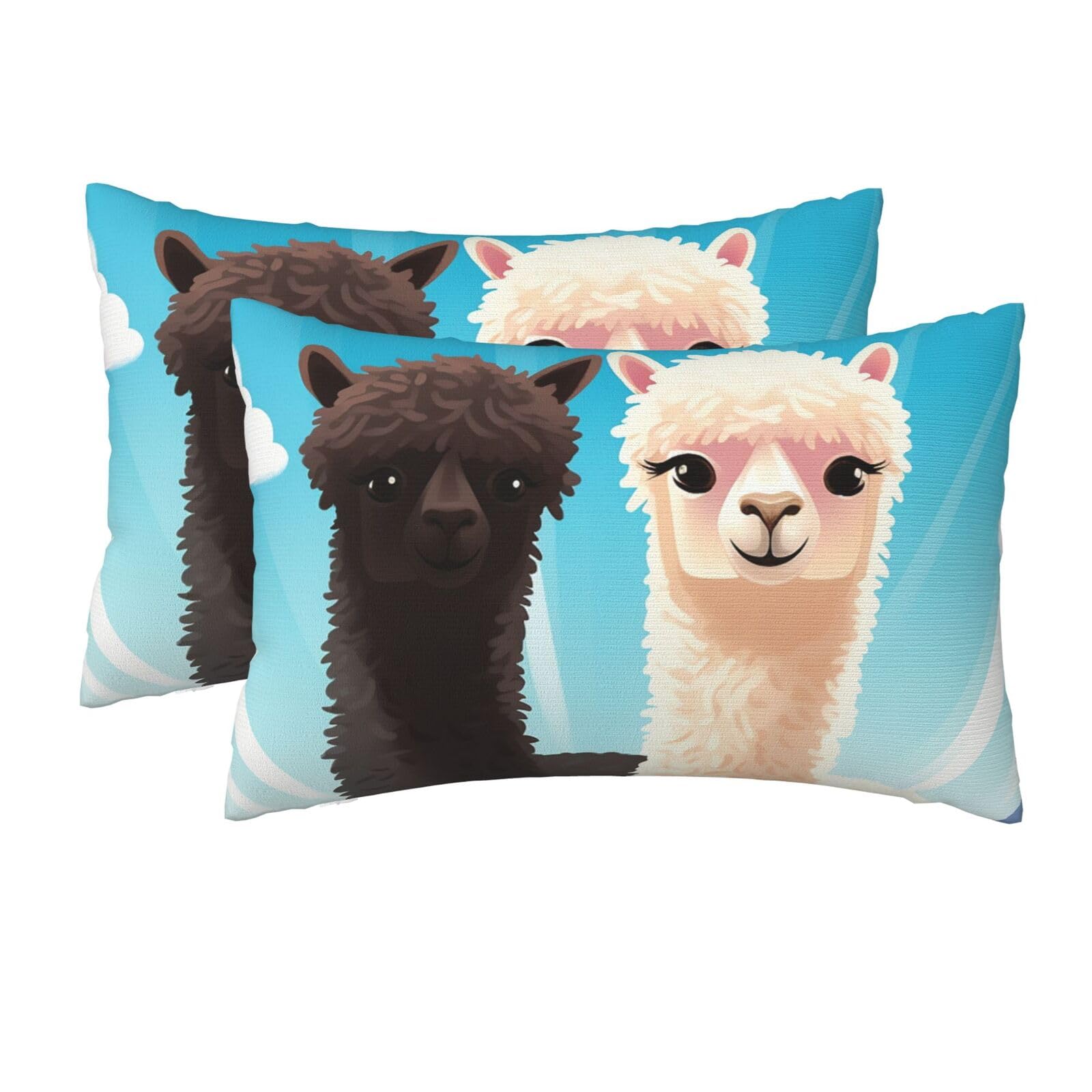 2 Pack Queen Size Pillow Cases for Hair and Skin Soft Breathable Pillow Case Covers with Hidden Zipper Alpaca Pillowcase 20x30 Inches Pillow Cover for Sleeping Gift