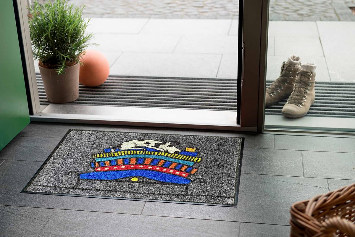 Salonloewe Fussmatte Fairy Dog I Schmutzfangmatte & Fußabtreter für Innen 50 x 75 cm