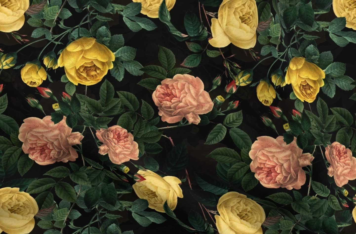Spoonflower Fabric - Vintage Botanical Romantic Rosebud Victorian Cottage Black Printed on Petal Signature Cotton Fabric Fat Quarter - Sewing Quilting Apparel Crafts Decor
