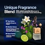 Solvere Diffuser with Vent Clip | Strong Automotive Freshener Long Lasting | Powerful Car Fresheners for Men with Odor Eliminating Technology | Luxury Air Freshener by Perfa