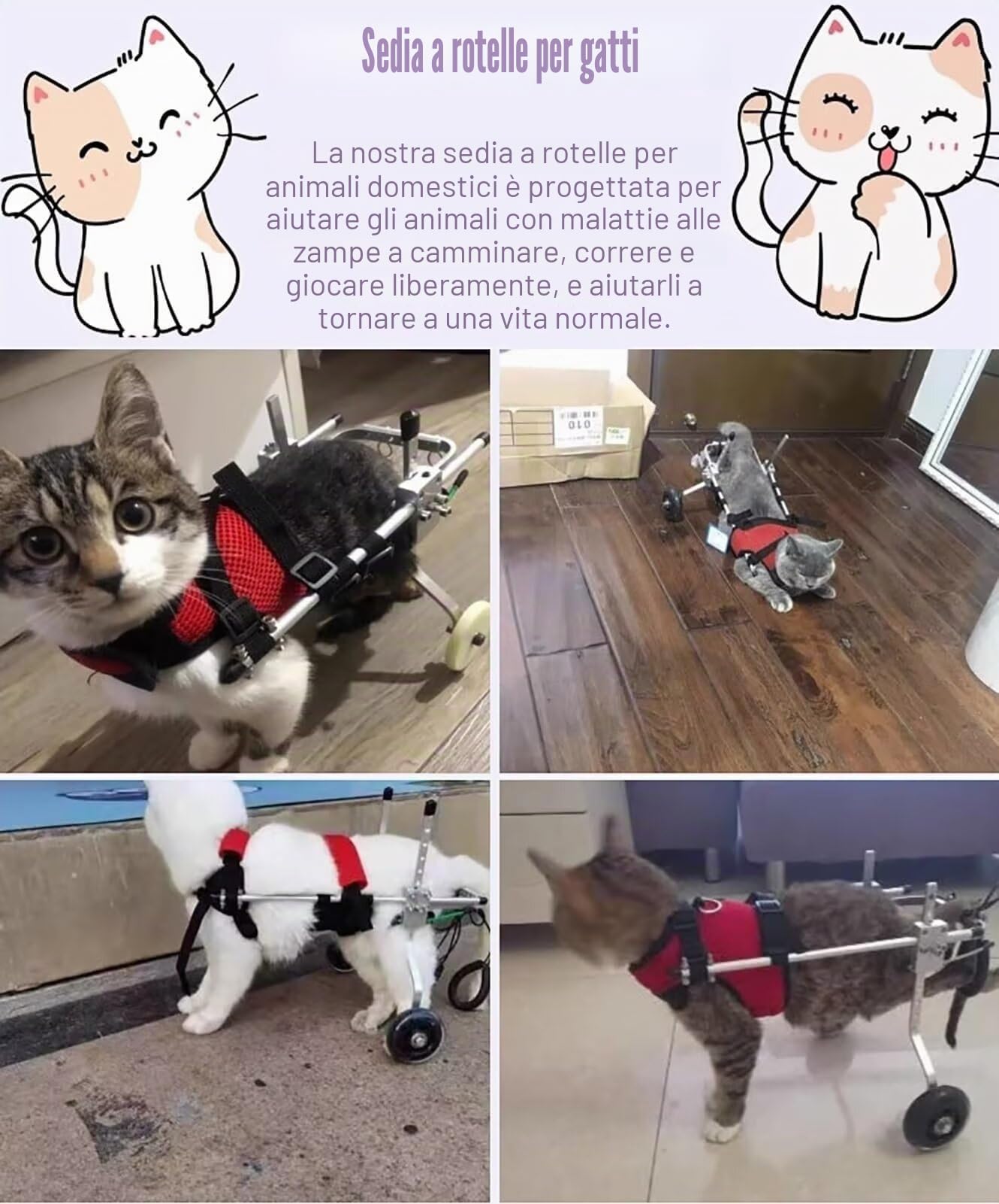 Sedia a rotelle per Gatti per Gambe Posteriori paralizzate, Attrezzatura per camminatore per Sedia a rotelle per Animali Domestici in Alluminio, Carrello con Ruote per addestramento alla(Righello: S)