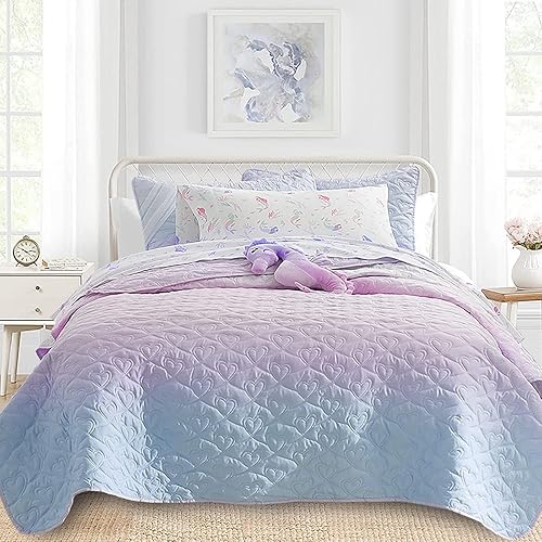 Quilt Set Full Queen Size 3 Piece, Bailey Pattern Printed Bedding Coverlet Set, Lightweight Soft Reversible Bedspread Sets for All Season (1 Quilt & 2 Pillow Shams)
