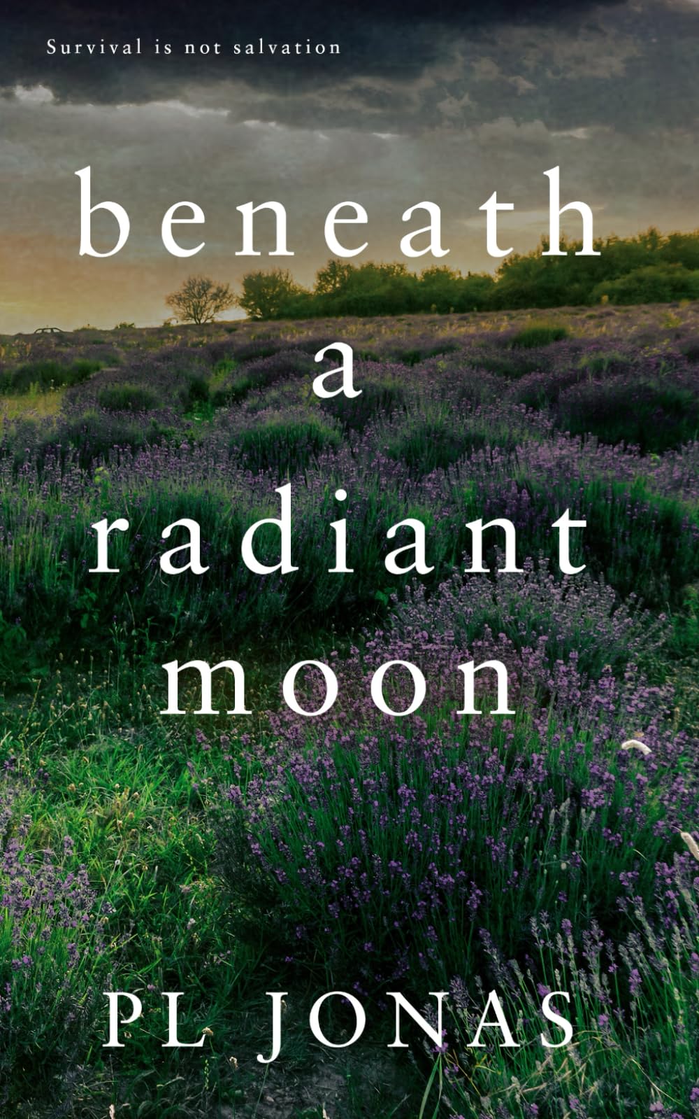 Beneath a Radiant Moon: An Immigrant Saga of Love, Family, and Survival Across Continents