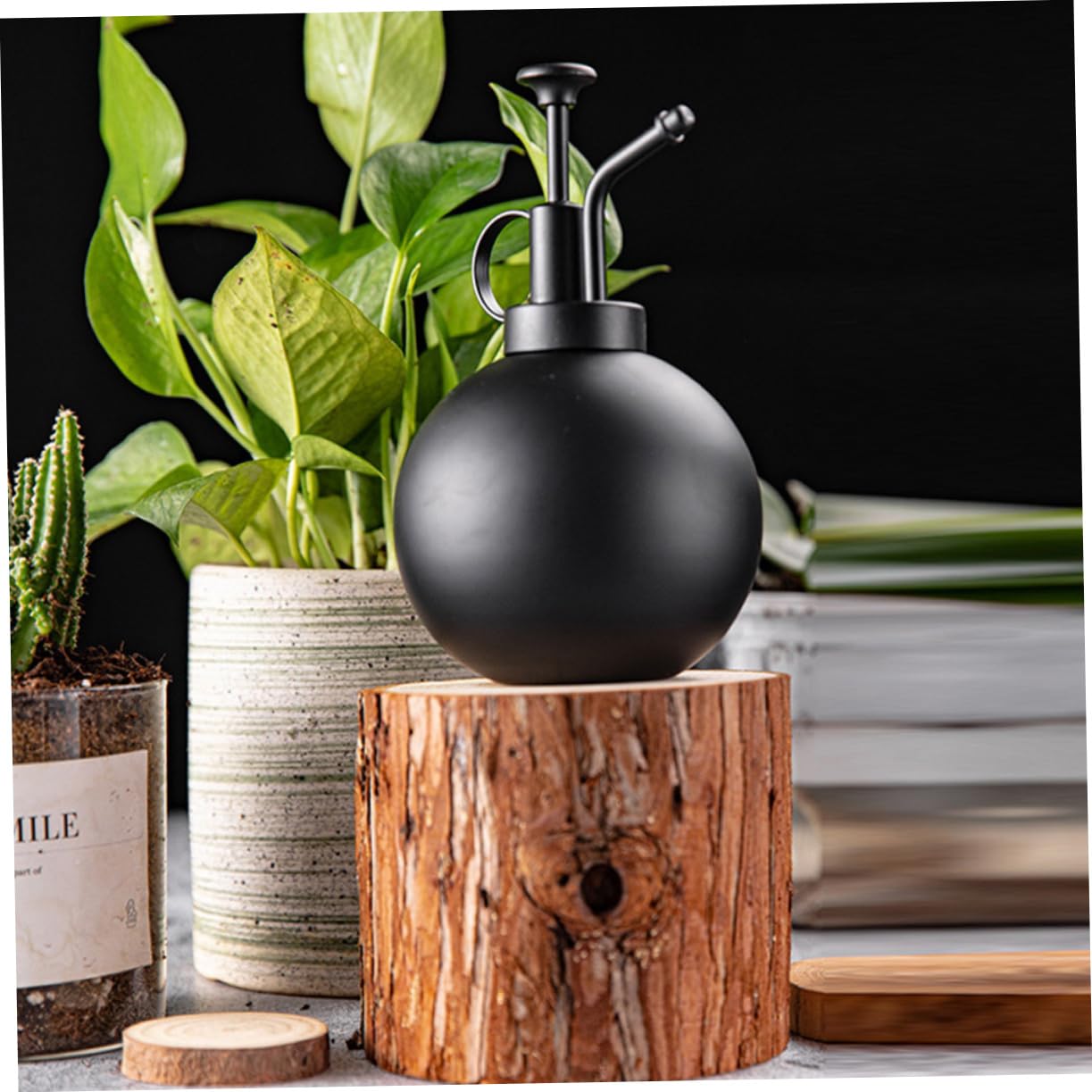 500ml Edelstahl Sprühflasche für Blumen und Pflanzen Schwarz