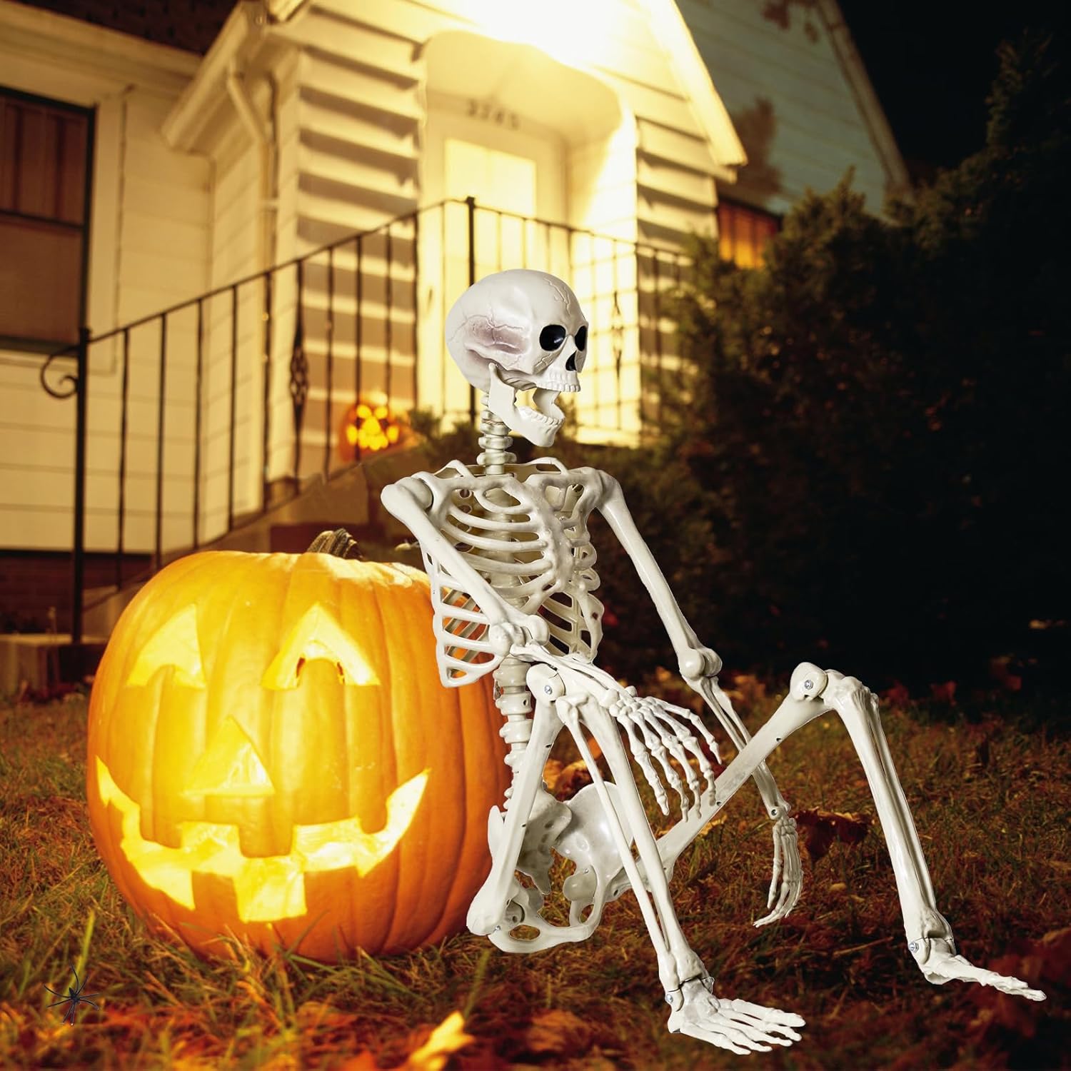breesky 5.4 ft Halloween Life Size Skeleton, Full Body Realistic Human Bones with Flexible Joints, Skeleton for Halloween Full Size Halloween Life Size Skeleton With Spider