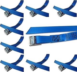 iapyx Befestigungsriemen-Set ideal zur Befestigung am Fahrradträger, Klemschloss Gurte, Spanngurte (10er Set, blau)