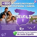 Ver la foto 7